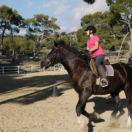 Junior Zeus, Hot Tub And Communal Pool, Aphrodite Hills Villa